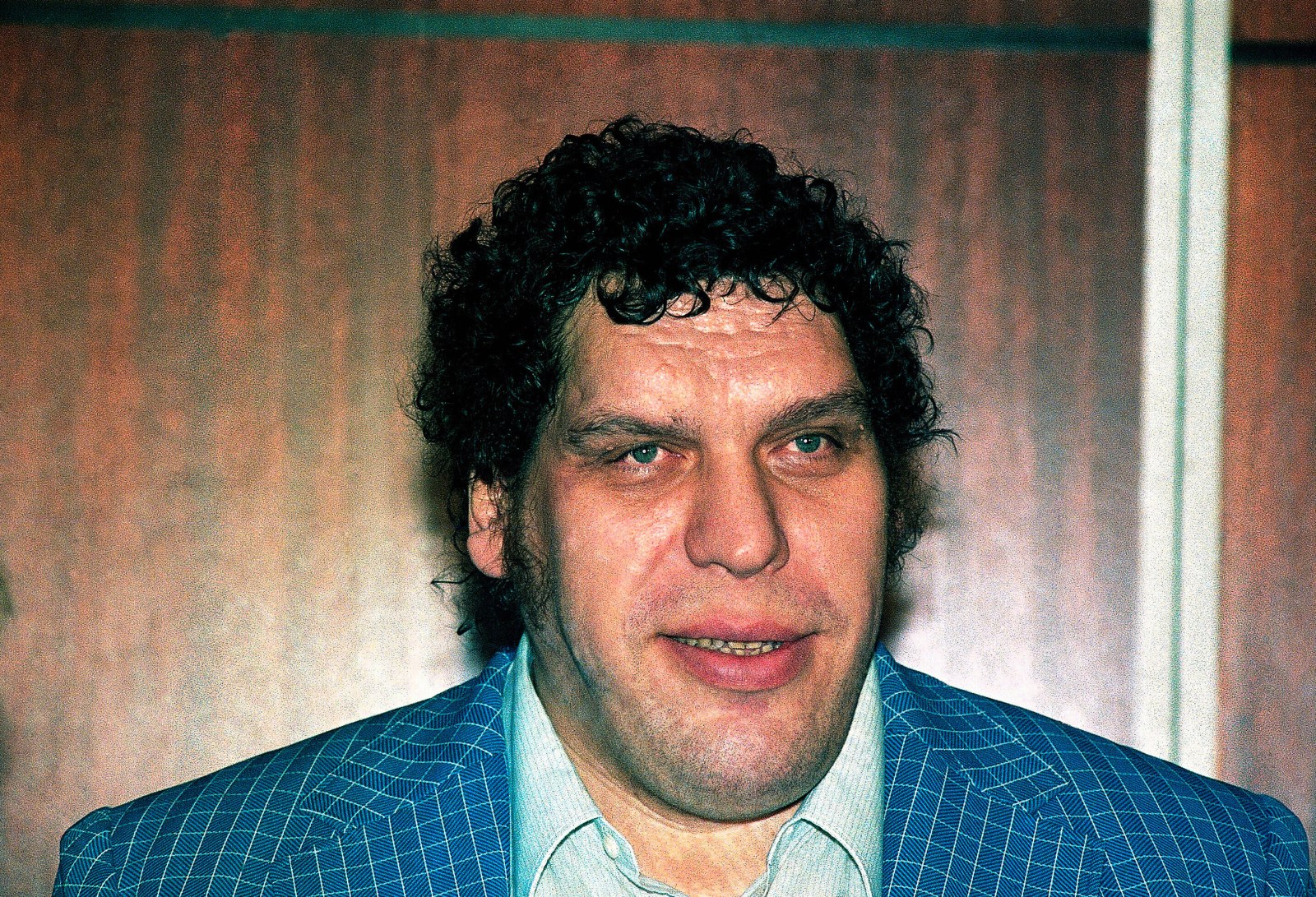 Tiny town in North Carolina honors towering Andre The Giant with roadside marker