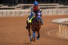 Kentucky Derby entrant So Happy works out at Churchill Downs Monday, April 27, 2026, in Louisville, Ky. (AP Photo/Charlie Riedel)