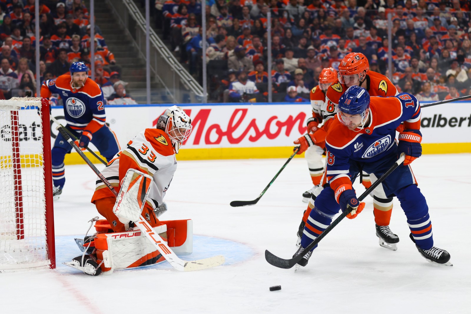 Anaheim Ducks Sign Forward AJ Greer to Four-Year Contract