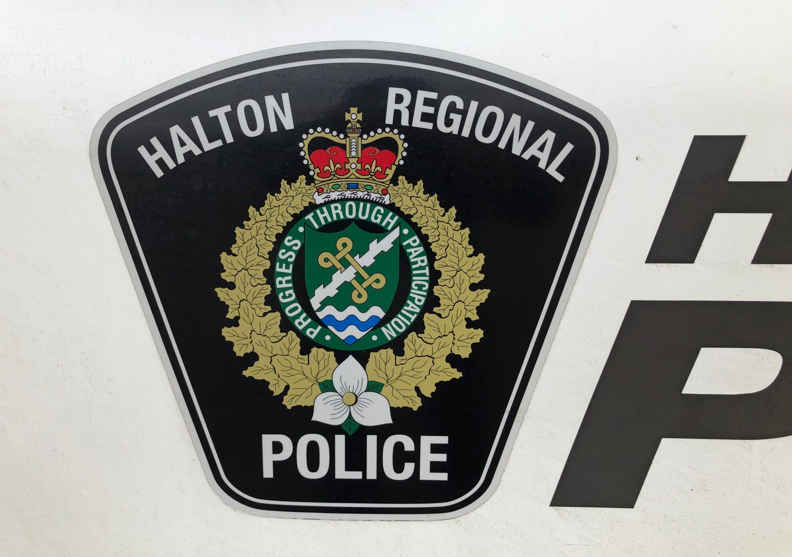 11-Year-Old Ontario Boy Dies of Rabies After Bat Encounter at Cottage