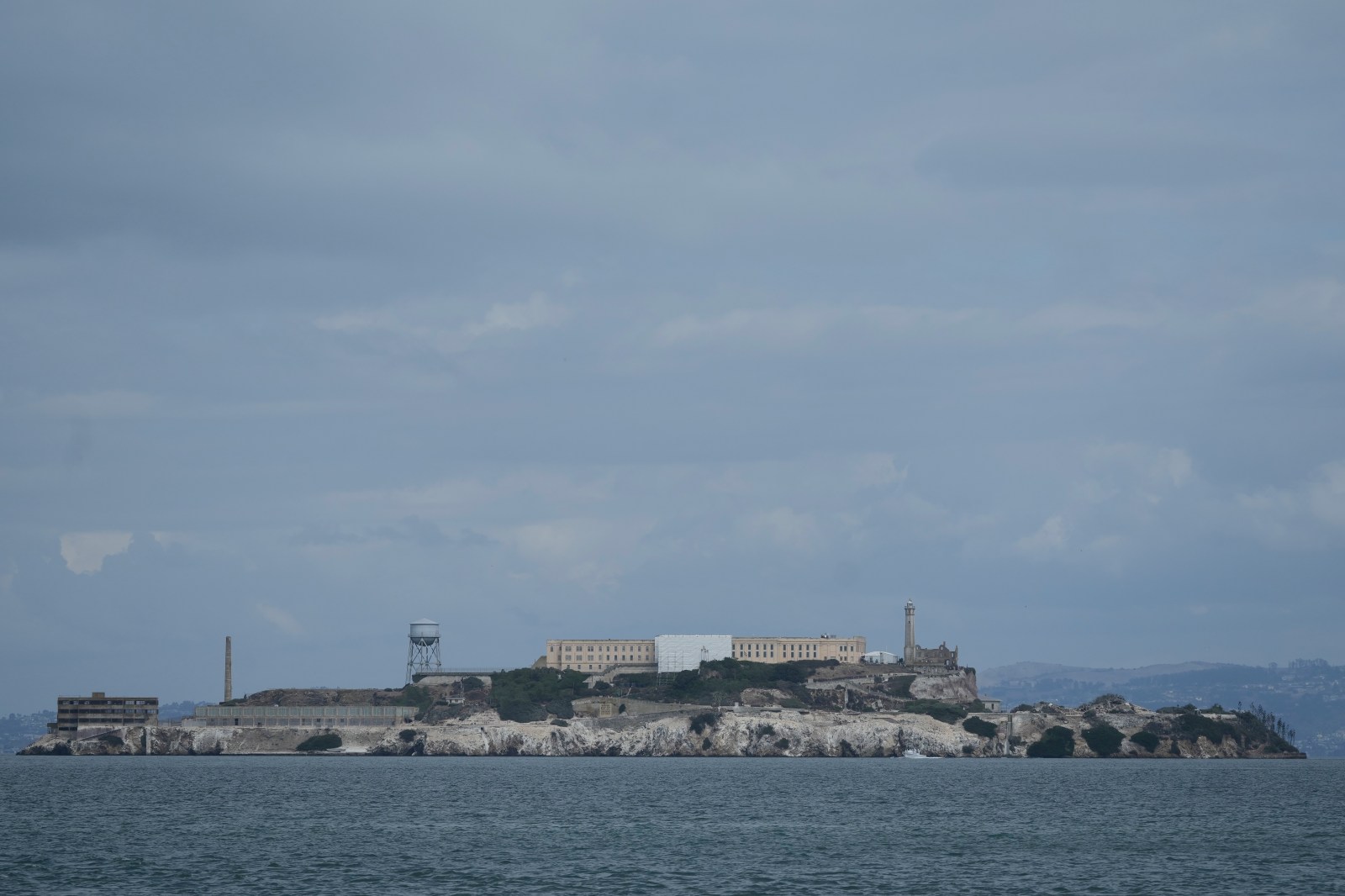 DNA Evidence Shows Coyote Swam from Angel Island to Alcatraz