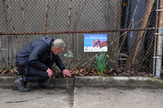 Adam Barnes, founder of Rewilders Toronto, a community-based ecological initiative, tends to a planted pollinator garden in Toronto, on April 16. (Chris Young / The Canadian Press files)