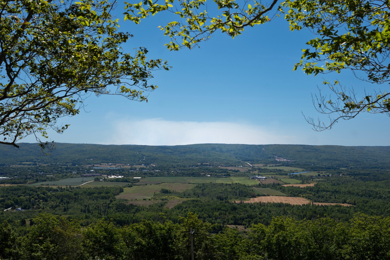 Nova Scotia’s provincewide ban on entering the woods was unreasonable, court rules
