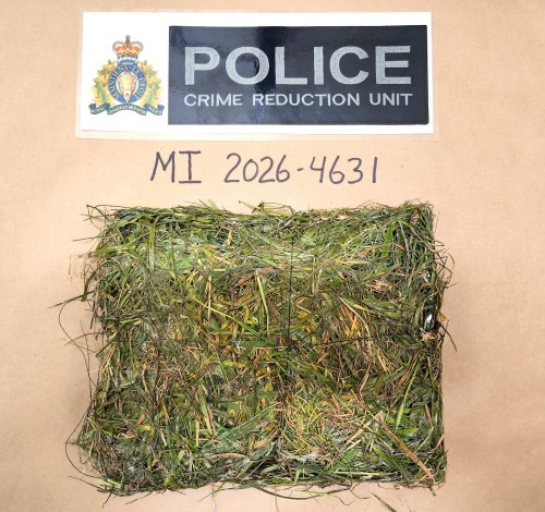 Authorities in British Columbia's Fraser Valley have foiled a sophisticated attempt to sneak contraband into a local prison by dropping a package disguised as a patch of loose grass, as shown in this undated handout photo, onto the facility's grounds. THE CANADIAN PRESS/Handout — RCMP (Mandatory Credit)
