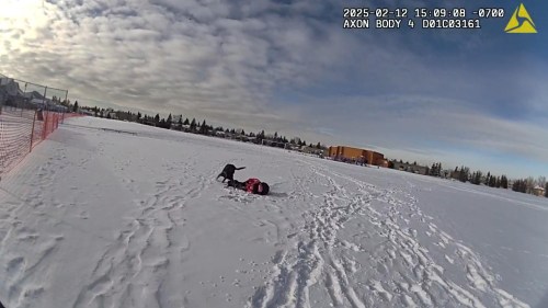 A Calgary police dog can be seen biting a nine-year-old girl's leg after it mistakenly chased her during the pursuit of a suspect in this February 12, 2025 handout photo from video on a Calgary Police Service officer's body worn camera provided by the Alberta Serious Incident Response Team. THE CANADIAN PRESS/Handout - Alberta Serious Incident Response Team (Mandatory Credit)
