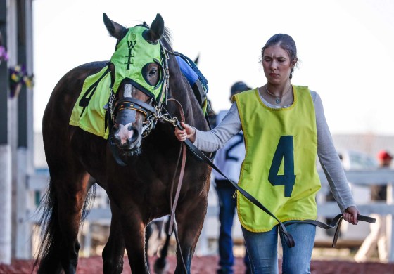 Fleet of Foot in the paddock before the first race on opening day of the 2026 race season at Assiniboia Downs. (John Woods / Free Press)