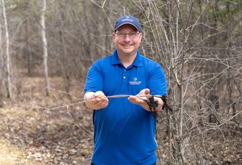 SUPPLIED
                                Barret Miller, manager of education and programming at Assiniboine Park Conservancy, holds up a piece of European buckthorn, an invasive species plaguing the park and the city. On Saturday May 2, members of the public are invited to help fight the invasion at the park by removing the plant, a first for the APC.
