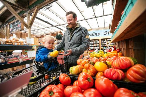 MIKAELA MACKENZIE / FREE PRESS
                                Nicolas Audette and Pascal Fournier-Audette, 3, pick out local and Ontario-grown tomatoes Thursday at Jardins St-Léon Gardens, which opened this week for the gardening season.