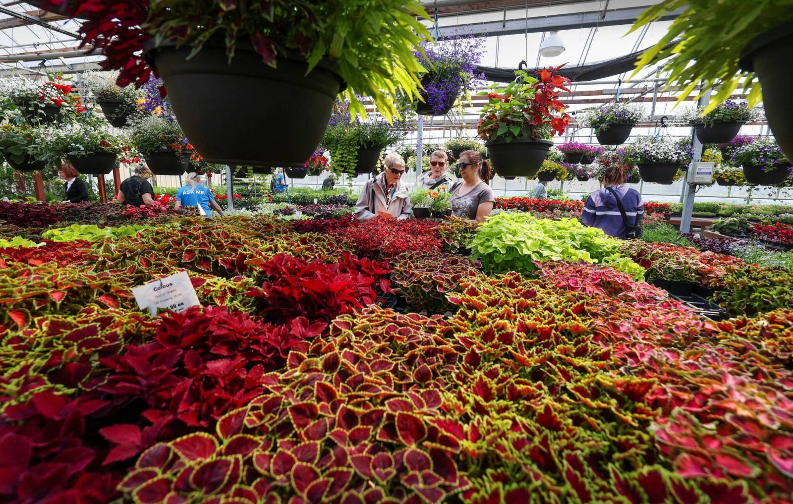 Jensen’s Nursery & Garden Centre celebrates 60 years of sowing Winnipeg community connections