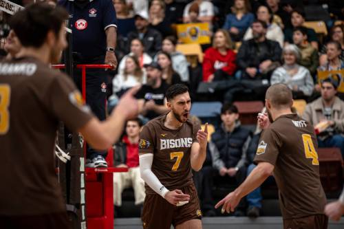 Bisons Athletics Photo
                                Volleyball has been a lifeline for Karil Dadash-Adeh (7), the Manitoba Bison who just signed a pro league contract with Italian club Pallavolo Macerata.