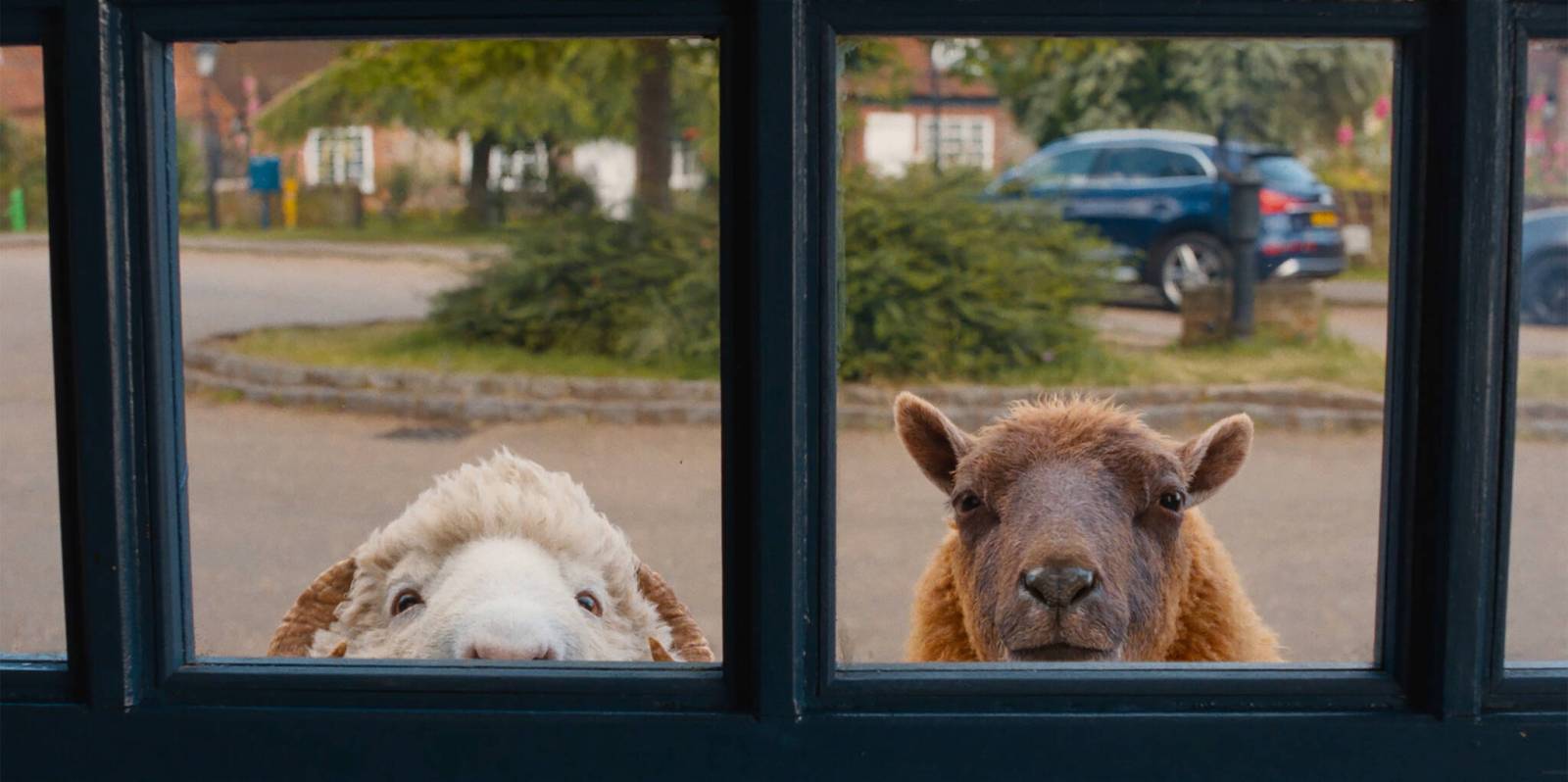Movie review: Talking-sheep comedy pokes affectionate fun at mystery genre