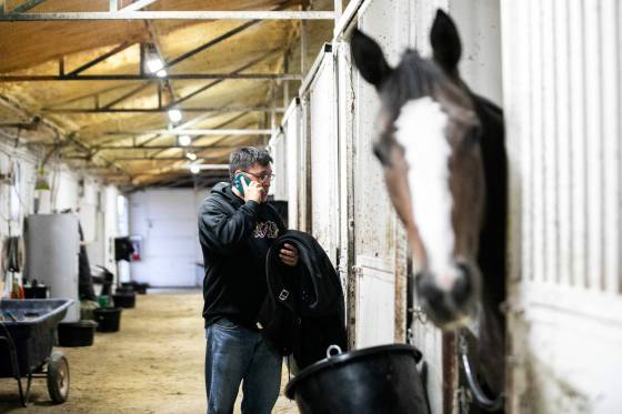 Trainer Steve Keplin juggles work calls and early-morning tasks. (Mikaela MacKenzie / Free Press)