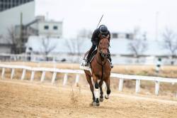 MIKAELA MACKENZIE / FREE PRESS 	 Jockey Antonio Whitehall does morning training with Taillights at the Assiniboia Downs on Tuesday, May 12, 2026. For Mike McIntyre story. Free Press 2026