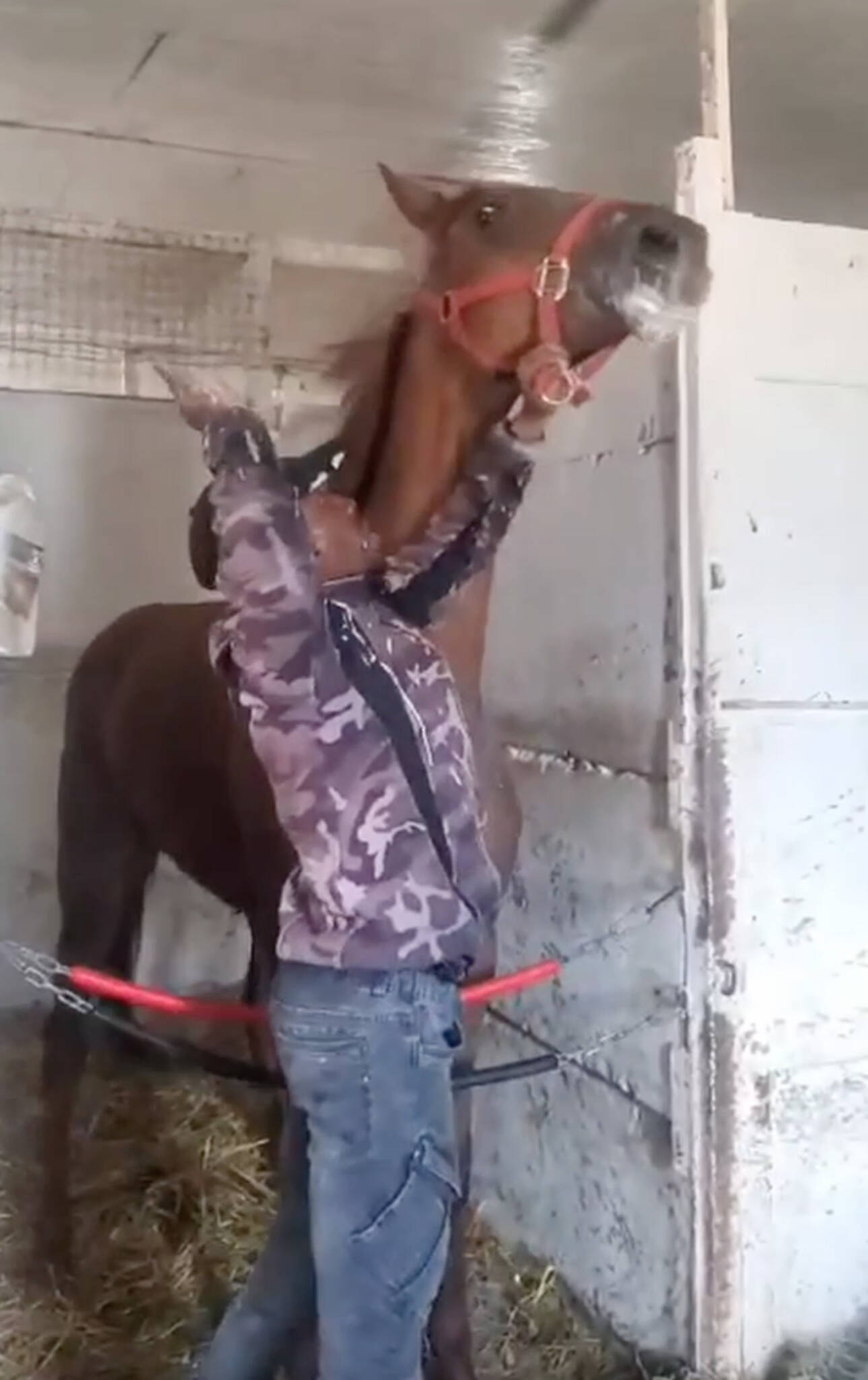 Assiniboia Downs urged to install cameras after jockey caught beating horse