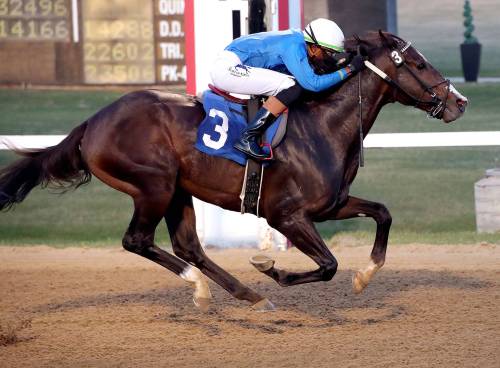 JASON HALSTEAD / ASSINIBOIA DOWNS
                                Jockey Antonio Whitehall rides Prime Suspect to a Wednesday night victory at Assiniboia Downs.