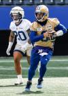 JOHN WOODS / FREE PRESS
                                Winnipeg Blue Bombers quarterback Zach Collaros (right) said he had only been around for one practice and had only taken one rep before then Toronto Argonauts head coach Scott Milanovich threw him in to play his first pre-season game.