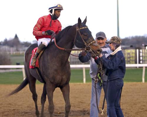 JASON HALSTEAD / @assiniboia photo
                                Trainer Jerry Gourneau (centre) helps HPBA groom school graduate Charlotte Stevens with Brooklyn Alley Cat after winning the second race on Wednesday with jockey Dario Dalrymple.