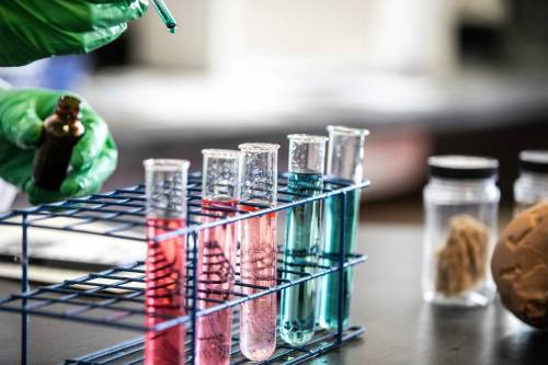 MIKAELA MACKENZIE / FREE PRESS FILES
                                Manitoba&rsquo;s new science curriculum asks teachers to regularly integrate Indigenous perspectives into their lessons and focus on building scientific literacy while leaving a lot up to discretion.