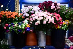 Buckets of flowers stay chilled in a cooler flowers at Acanthus Floral & Botanical in Almonte, Ont., on Wednesday, Feb. 10, 2021. THE CANADIAN PRESS/Sean Kilpatrick