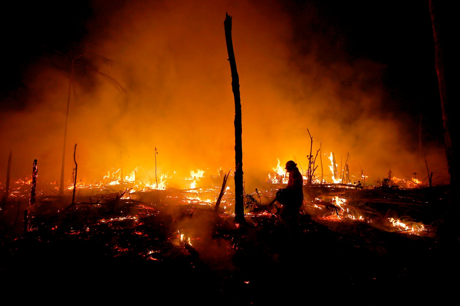Despite gains combating deforestation in Brazil’s Amazon, forest ...