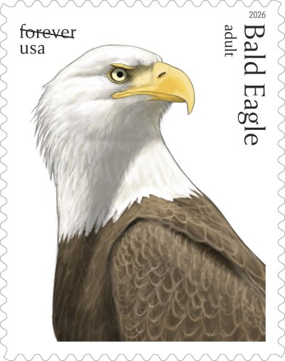 This image provided by the United States Postal Service shows a new stamp being released Thursday, May 14, 2026, featuring an adult bald eagle. (United States Postal Service via AP)