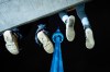 Fans of Drake dangle their feet off of a concrete structure as they gather near the CN Tower for a video projection promoting the upcoming album 