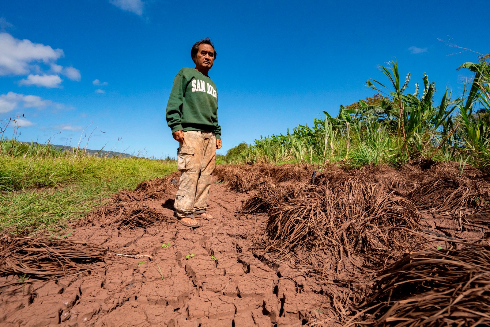 winnipegfreepress.com - Jennifer Sinco Kelleher, The Associated Press - Hawaii's worst flooding in 20 years leaves farmers struggling and fewer veggies at the market