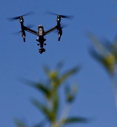 A drone equipped with a thermal camera flies over the plants in Slippery Rock, Pa. (AP Photo/Keith Srakocic)