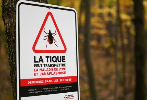 A sign warning hikers of the presence of ticks in a forest in the Eastern Townships, on Wednesday 16 October 2024. THE CANADIAN PRESS/Graham Hughes