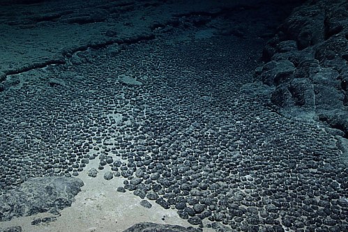 This photo provided by NOAA shows a field of manganese nodules in deep waters off of Hawaii during the Hohonu Moana (deep water) expedition in 2015. (NOAA Office of Ocean Exploration and Research via AP)