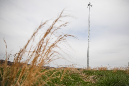 A cell tower stands in rural Pennsylvania in June 2022. (Amanda Berg/Spotlight PA via AP)