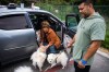 People tend to their pets outside Freedom Hall, an evacuation center in Fountain Valley, Calif., on Monday, May 25, 2026. (AP Photo/Ethan Swope)