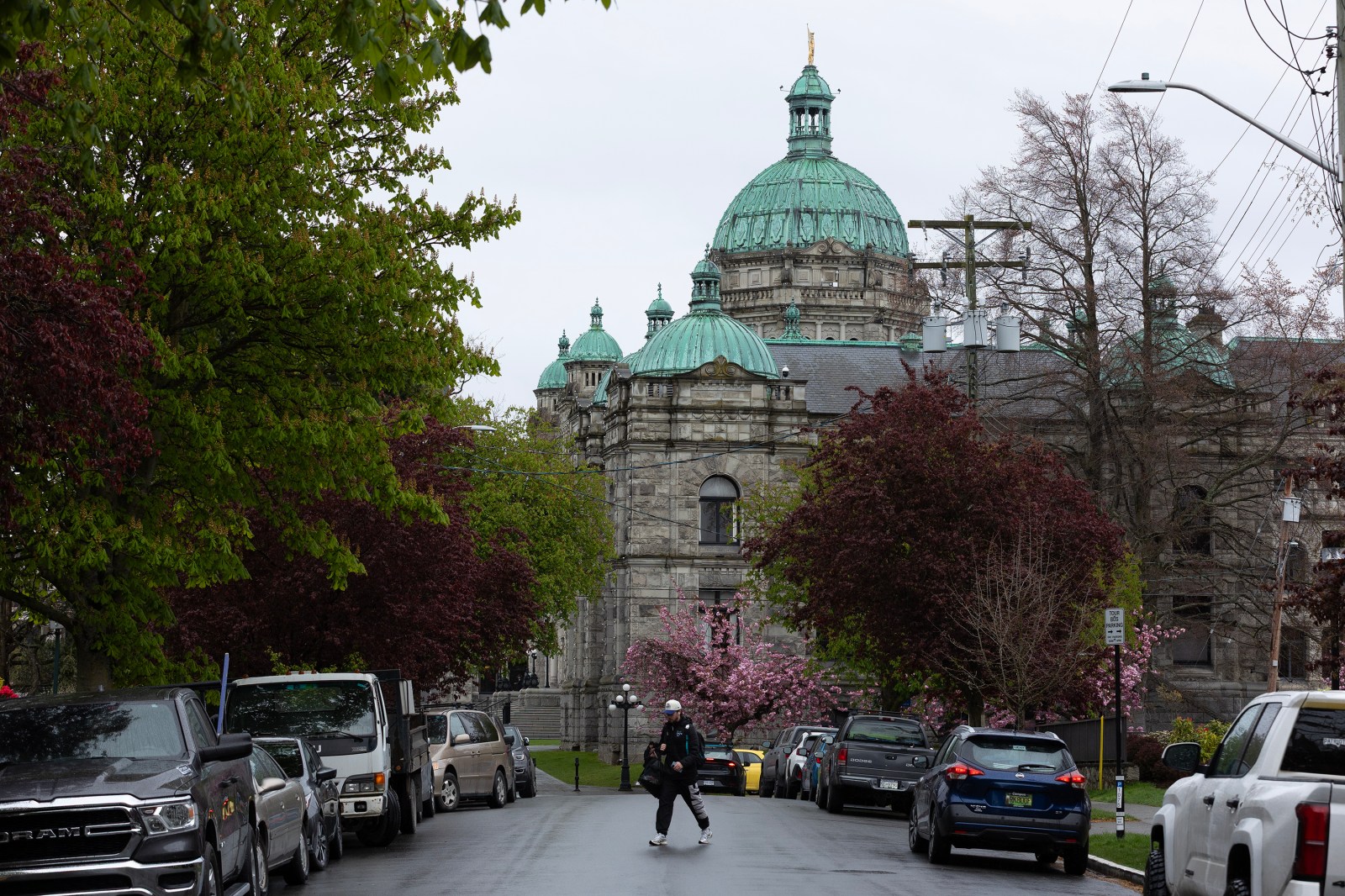 Elections BC says no deliberate violations in 2024 Surrey-Guildford vote