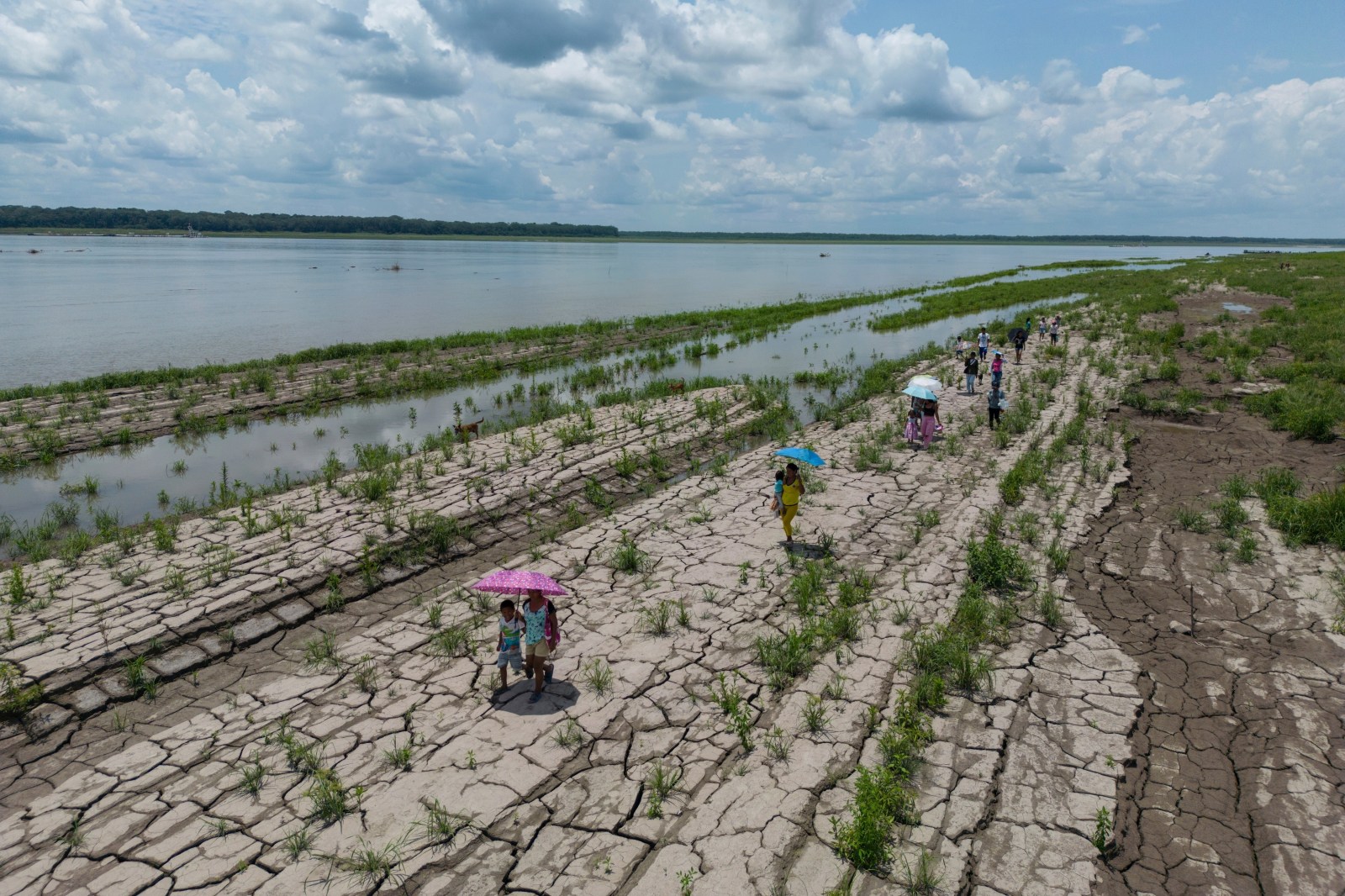 winnipegfreepress.com - Steven Grattan, The Associated Press - Colombia's presidential runoff could impact the future of the Amazon rainforest and fossil fuels