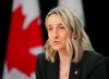 Canada's Chief Public Health Officer, Dr. Joss Reimer, provides an updates about the Andes Hantavirus and actions taken by the Government of Canada during a press conference at the National Press Theatre in Ottawa on Thursday, May 14, 2026. THE CANADIAN PRESS/Sean Kilpatrick