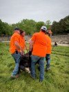 Marineland, the shuttered Niagara Falls, Ont., amusement park, says it is rehoming its complement of bears to a sanctuary in Colorado.
THE CANADIAN PRESS/Handout-Marineland
(Mandatory Credit)