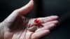 A hearing aid is pictured Friday, April 15, 2022, in Salt Lake City. THE CANADIAN PRESS/AP-Rick Bowmer