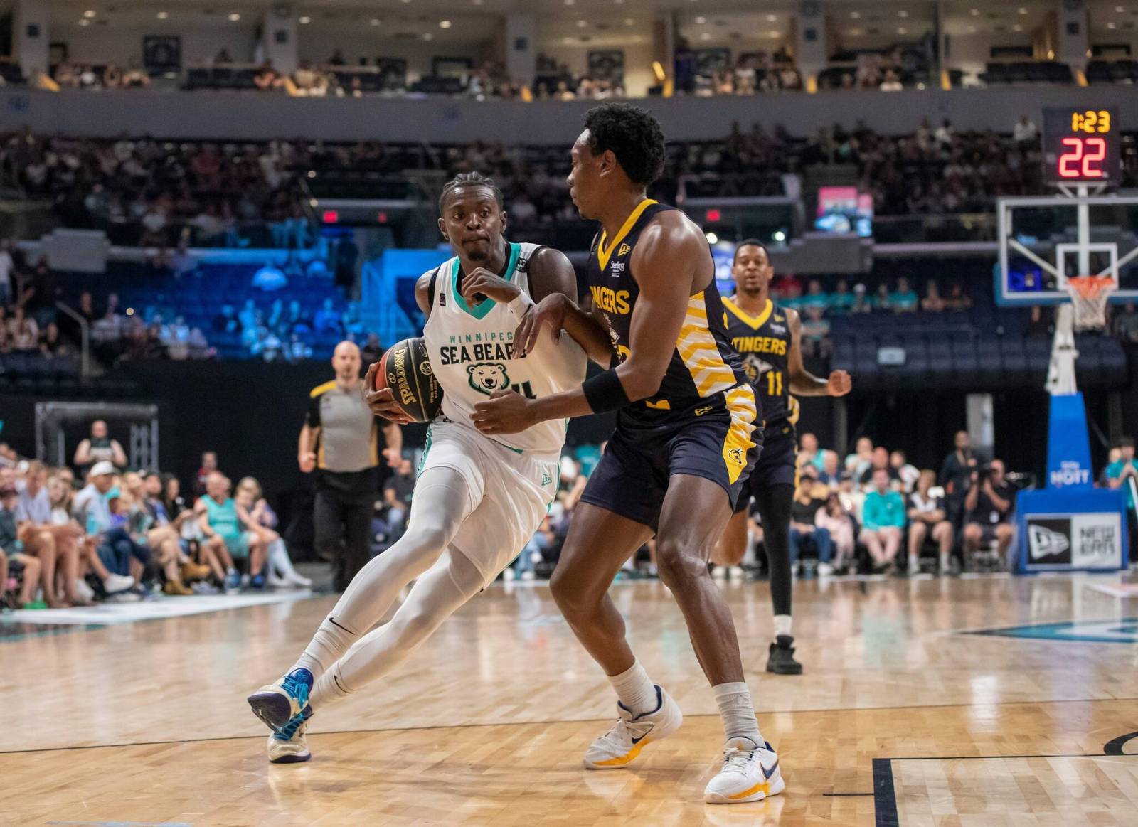 ‘Knows what it takes to win’: Fan favourite Scott back with the Sea Bears
