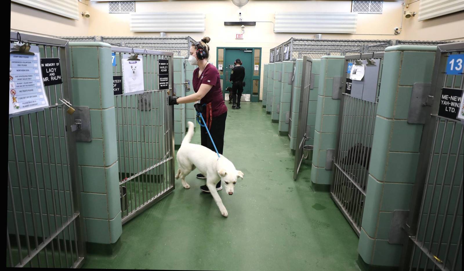 Status change would ease burden on animal services: Santos