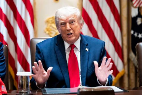 The New York Times files
                                U.S. President Donald Trump