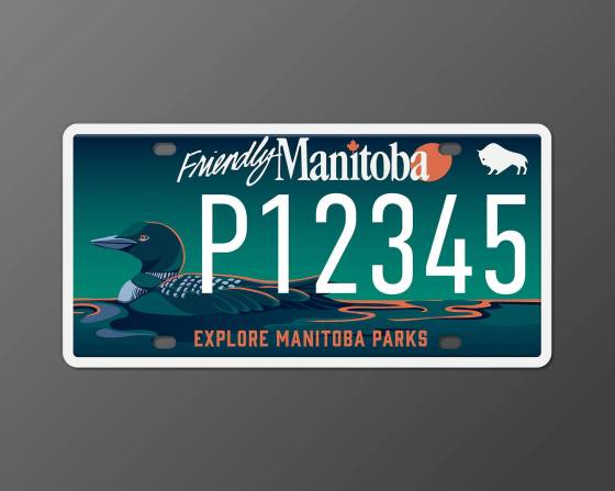 One proposed design features a loon. (Supplied)