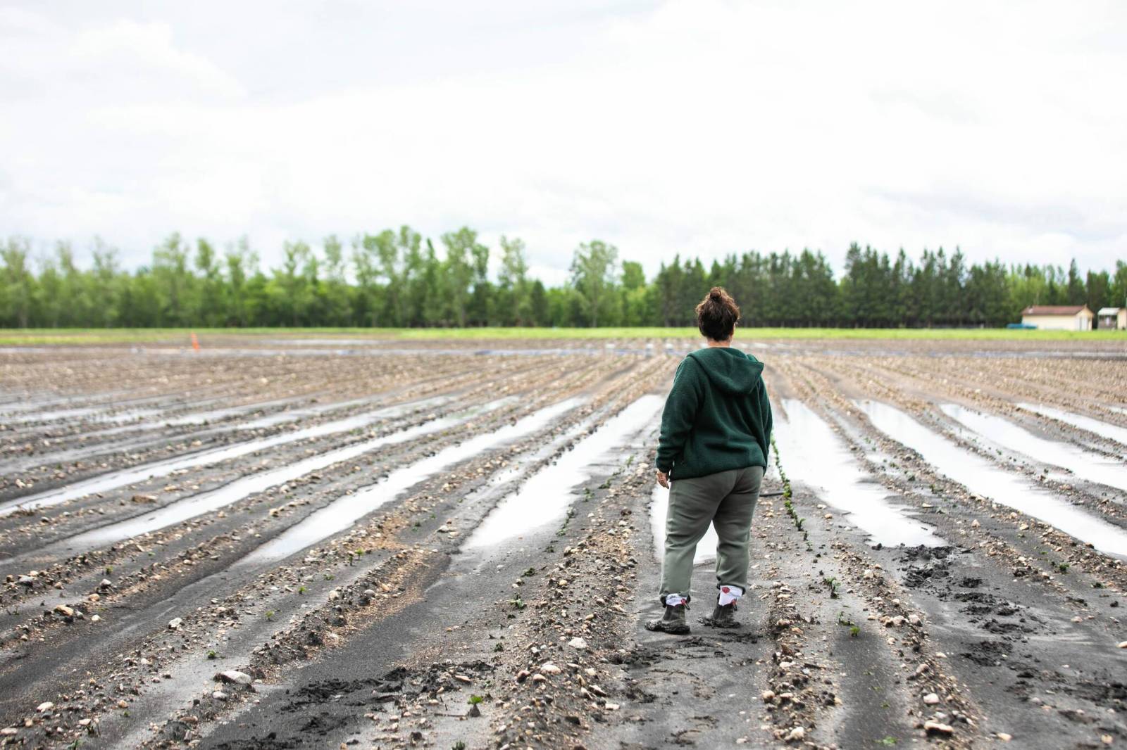 Late start to season due to cold washed away in storm-powered flash for many Manitoba farmers