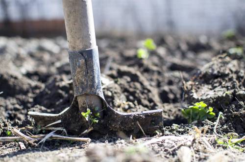 Pixabay
                                Always find out if there are buried utility lines on your property before disturbing the ground.