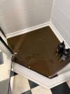 SUPPLIED
                                Michael Koncur&rsquo;s basement shower flooded with sewage &mdash; again &mdash; after heavy rainfall Monday.