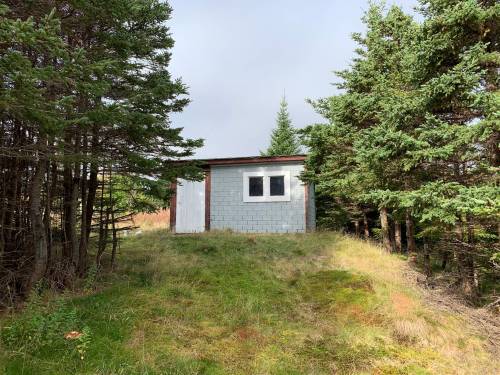 Russell Wangersky/Free Press
                                The shed over the root cellar before the fire, Adam&rsquo;s Cove, NL.