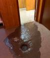 SUPPLIED
                                &ldquo;Panic set in when the weeping tile wasn&rsquo;t draining to our sump pump, which was working overtime and wasn&rsquo;t functioning properly,&rdquo; says Cailyn Wilson.