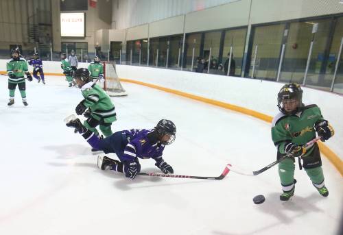 Brandon Sun files
                                Under Manitoba&rsquo;s Protecting Youth in Sports Act, all provincial sports organizations must adopt and implement the Sport Manitoba Safe Sport policy manual.