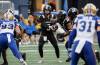 John Woods / THE CANADIAN PRESS FILES
                                The Ottawa Redblacks traded quarterback Dru Brown to the Winnipeg Blue Bombers, Tuesday.