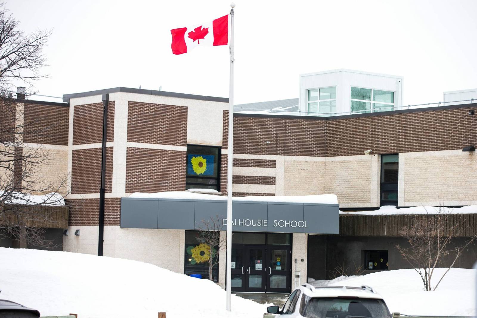 New name chosen for Dalhousie School