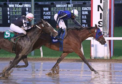 Jason Halstead / Assiniboia Photo
                                Elston Gunnn (inside) and jockey Shavon Townsend hold off Prime Suspect and Sven Balroop to win the 50th running of the $50,000 Golden Boy Stakes on Tuesday at Assiniboia Downs.